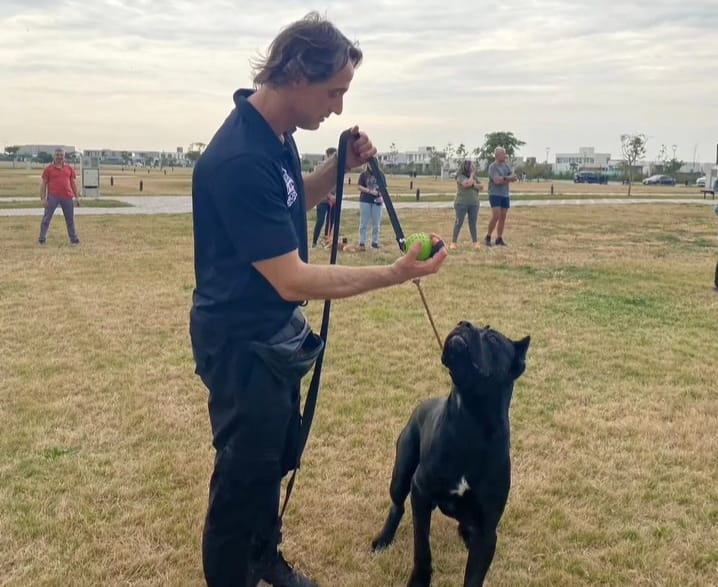 Para que Firulais no rompa nada: habrá clase gratuita de adiestramiento canino en Funes